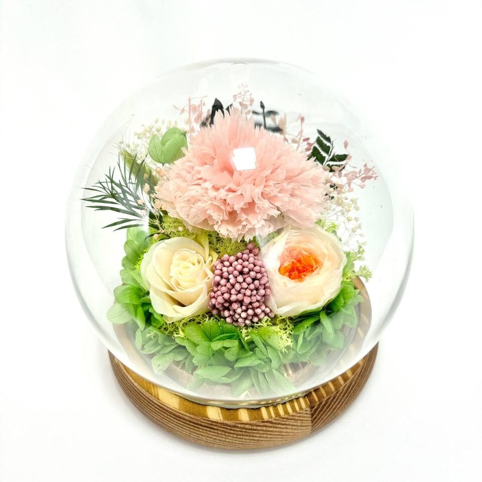 Preserved Flower Dome Carnation Pink